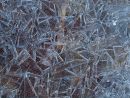 Ice crystal sheet